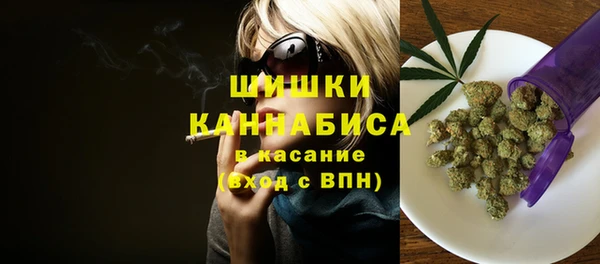 прущие грибы Вяземский