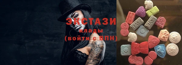 индика Вязники
