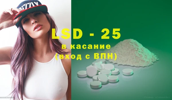 индика Вязники