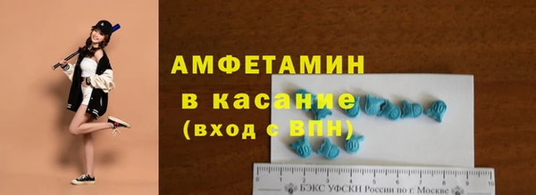 индика Вязники