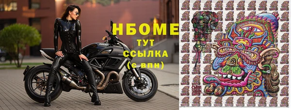 прущие грибы Вяземский