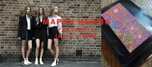 прущие грибы Вяземский