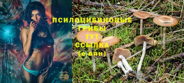 индика Вязники