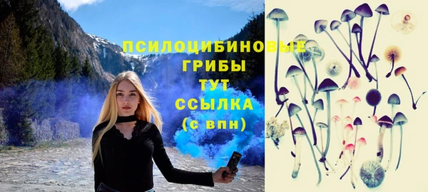 трава Вязьма