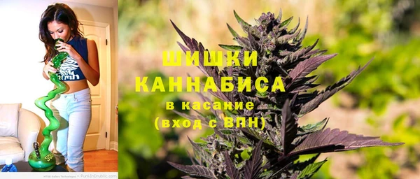 индика Вязники