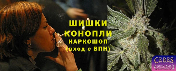 прущие грибы Вяземский