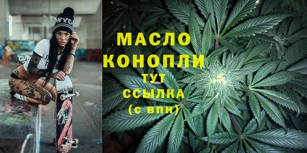 индика Вязники