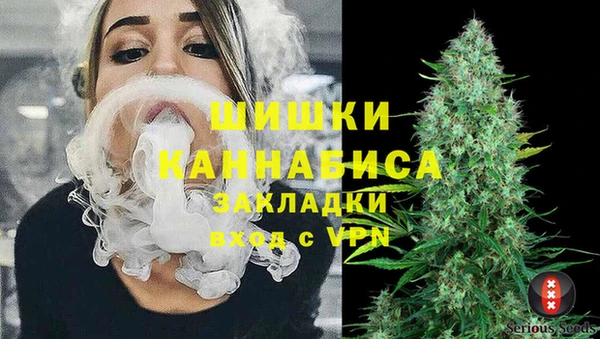 индика Вязники