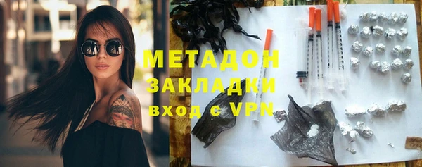 прущие грибы Вяземский