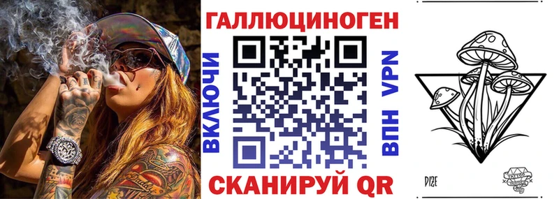 Галлюциногенные грибы Psilocybe  Купить закладки  Мегион 